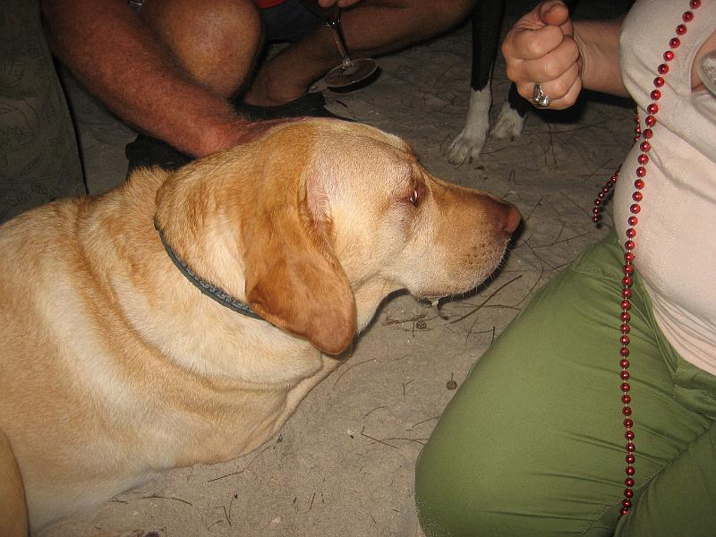 Picture 023